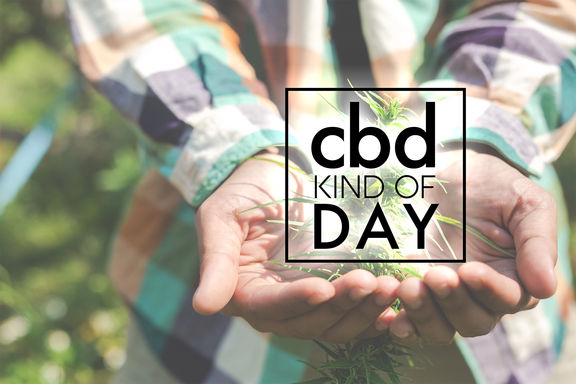 Federally-Funded Study Shows That Americans Trust Family, Friends, and Internet Over Government Officials When it Comes to Cannabinoids