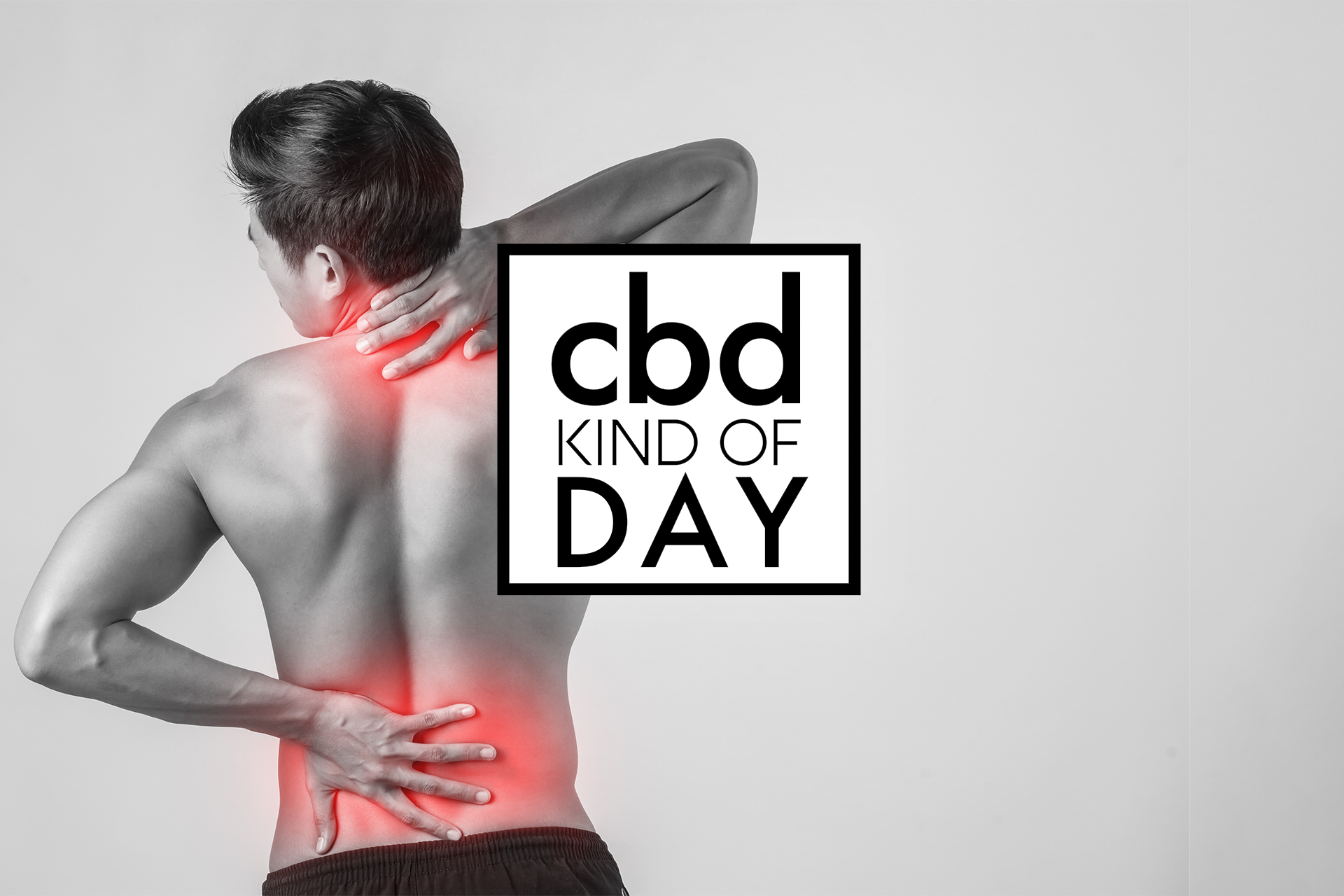 Newly Published Review of Cannabinoid Science Finds Cannabis & Hemp...